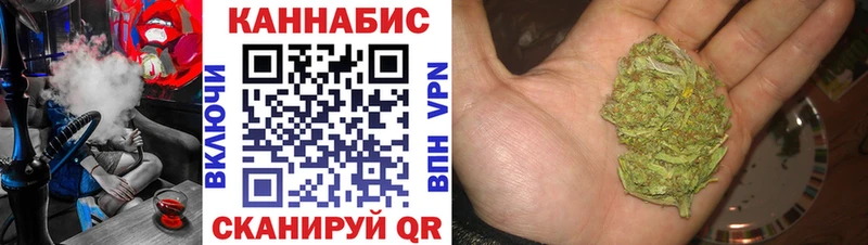 Купить закладки  Кудрово  МАРИХУАНА планчик 